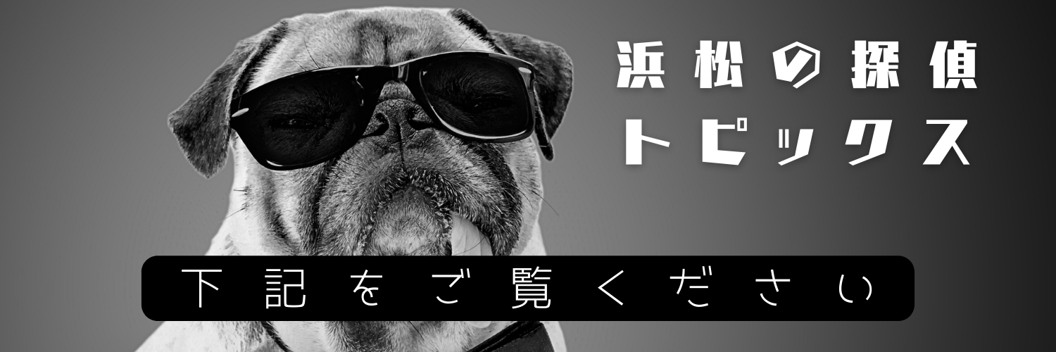 浜松の探偵トピックス(サングラス犬)